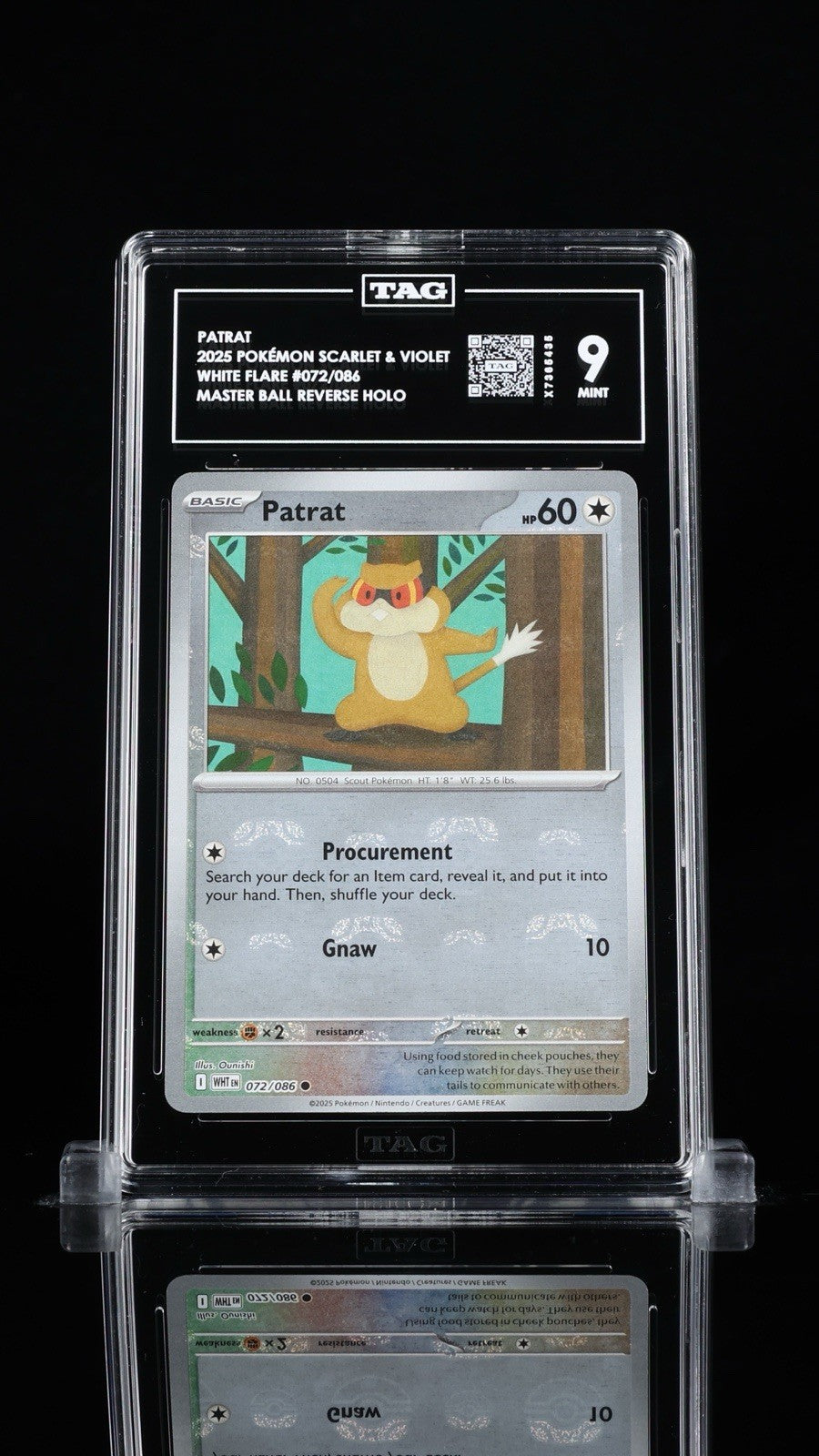 ‼️Patrat (Master Ball Pattern) 072/086 Sv: White Flare Holo TAG GRADE 9!💨