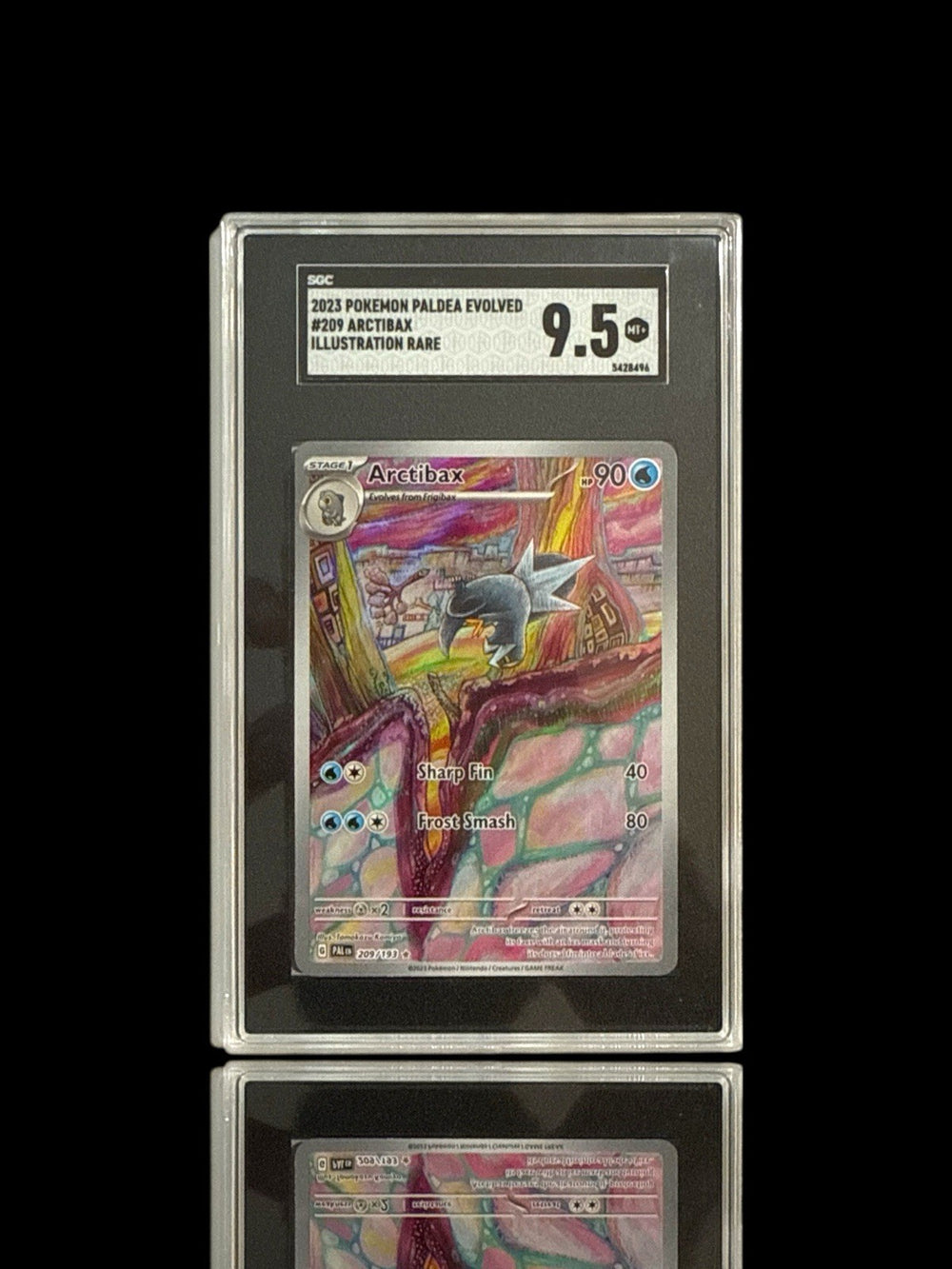 ‼️Pokemon Arctibax 209/193: Paldea Evolved Holo GRADE 9.5! SHOOT OFFER!💨