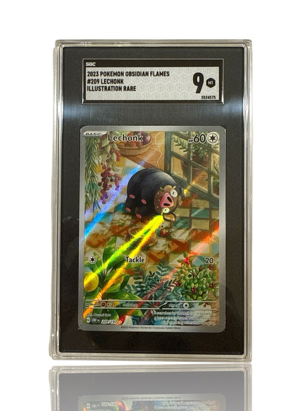 ‼️POKEMON Lechonk 209/197: Obsidian Flames GRADE 9! FAST SHIP~SHOOT OFFER!💨