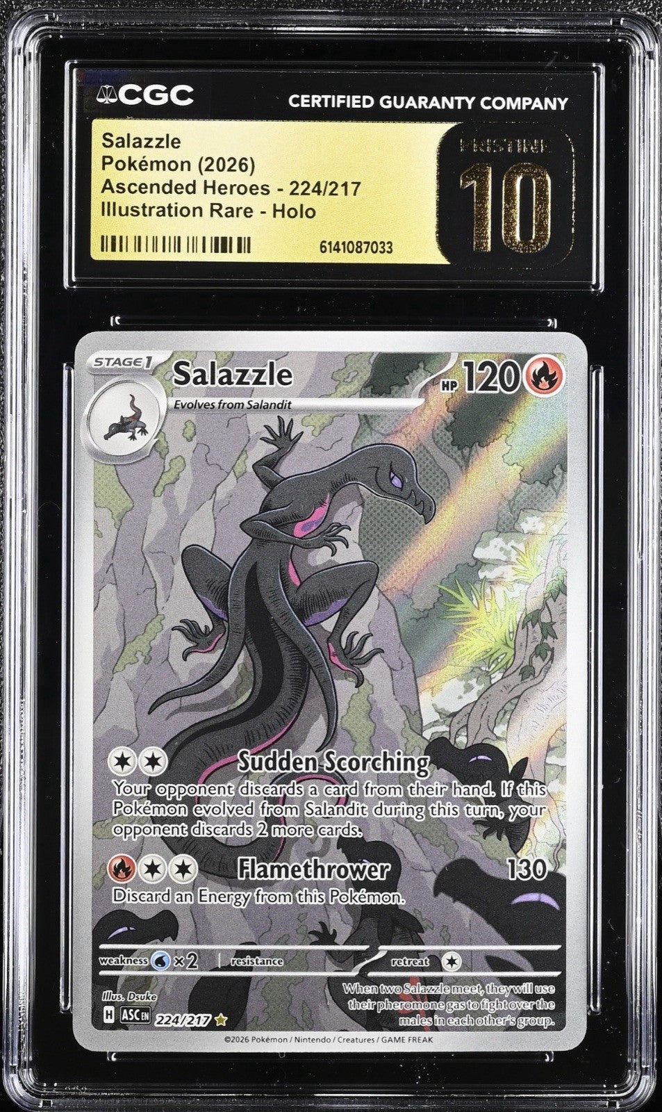 ‼️ Salazzle 224/217 Pokemon Ascended Heroes PRISTINE 10 GOLD LABEL LOW TOP POP💨