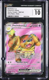 ‼️Dachsbun ex 160/142 Sv07: Stellar Crown Holo GRADE 10! SHIPS SAME DAY!💨