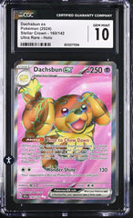 ‼️Dachsbun ex 160/142 Sv07: Stellar Crown Holo GRADE 10! SHIPS SAME DAY!💨