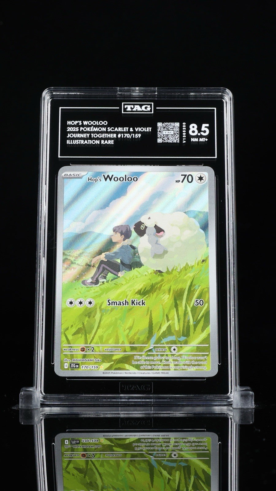 🐑 Hop's Wooloo 170/15: Journey Together TAG GRADE 8.5! FAST SHIP~SHOOT OFFER!💨