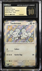 💎 Tandemaus #209 Paldean Fates SHINY GRADE 10 PRISTINE GOLD LABEL TOP POP 6!💨