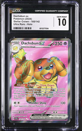 ‼️Pokemon Dachsbun ex 160/142: Stellar Crown Holo GRADE 10! SHOOT OFFER!💨