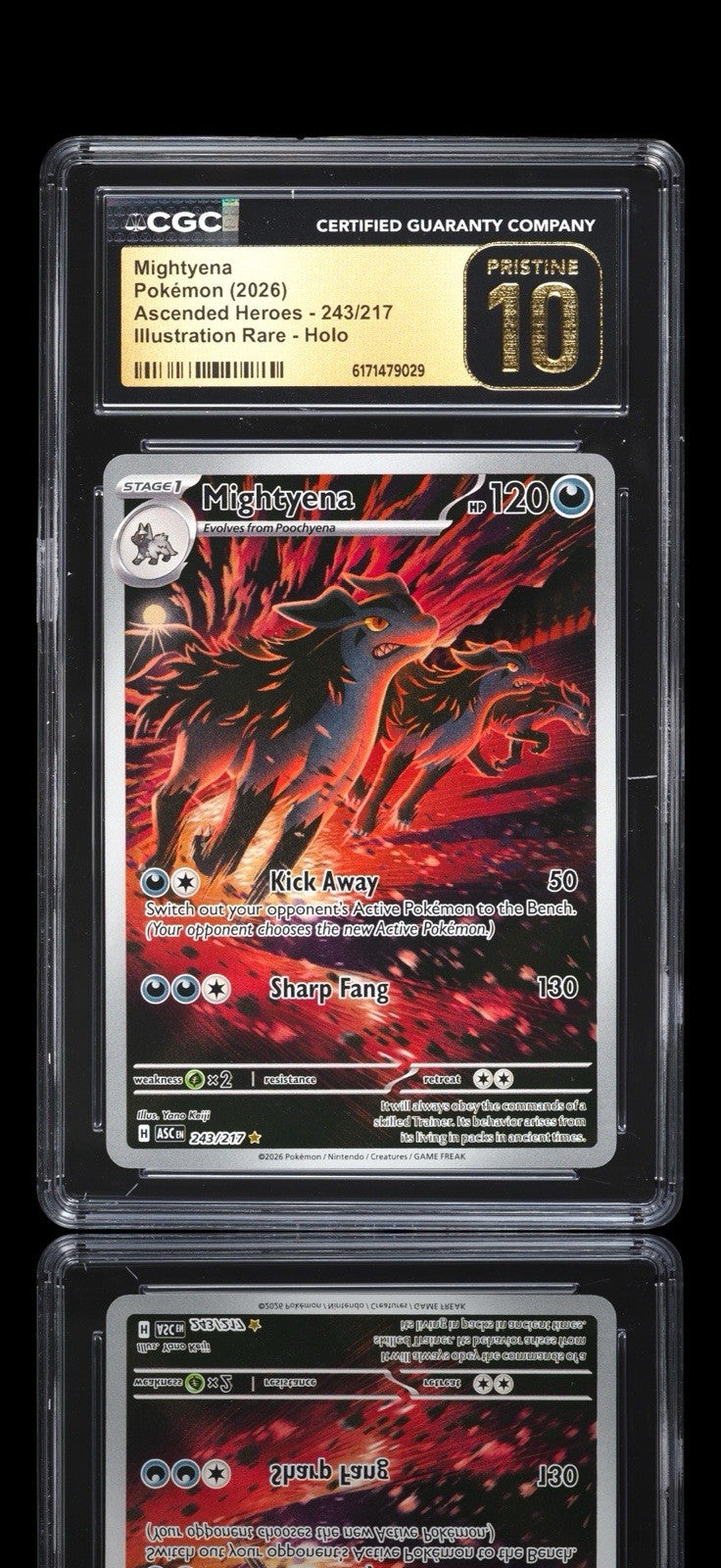 🔥 Mightyena #243 Pokemon Ascended Heroes~PRISTINE 10 GOLD LABEL LOW TOP POP💨