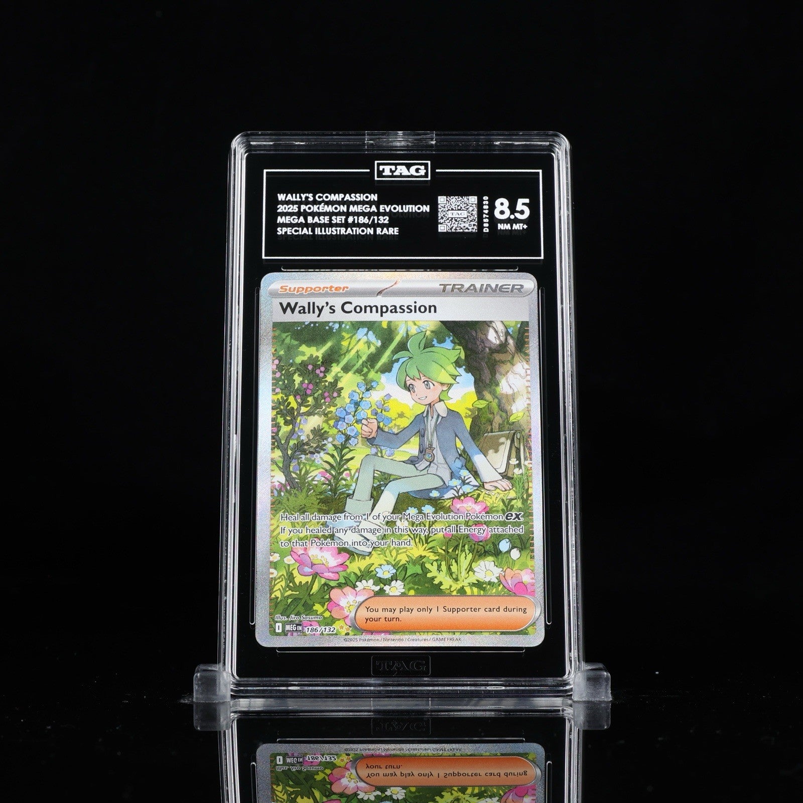 ‼️Wally's Compassion 186/132: Mega Evolution GRADE 8.5! FAST SHIP~SHOOT OFFER💨