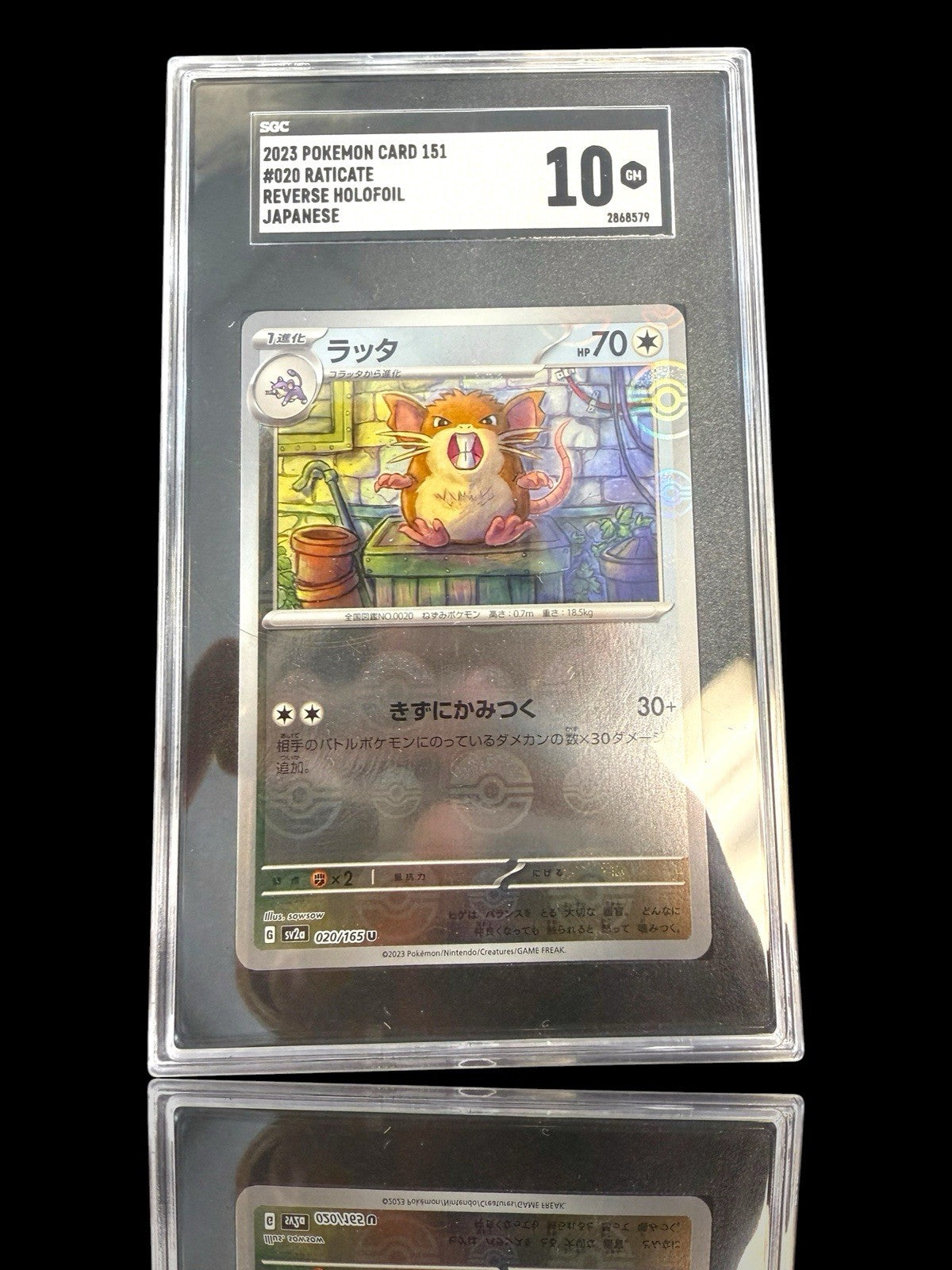 ⚠️ Raticate PokeBall 020/165 Pokemon Card 151 Holo JPN~GRADE 10~SHOOT OFFER💨