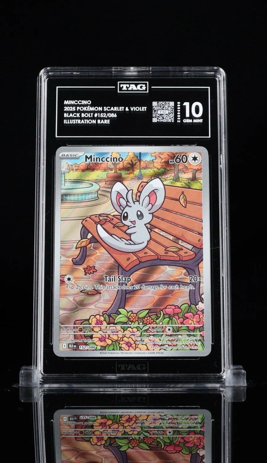 🐭 Minccino 152/086: Black Bolt Holo TAG GRADE 10! SAME DAY SHIP~SHOOT OFFER!💨