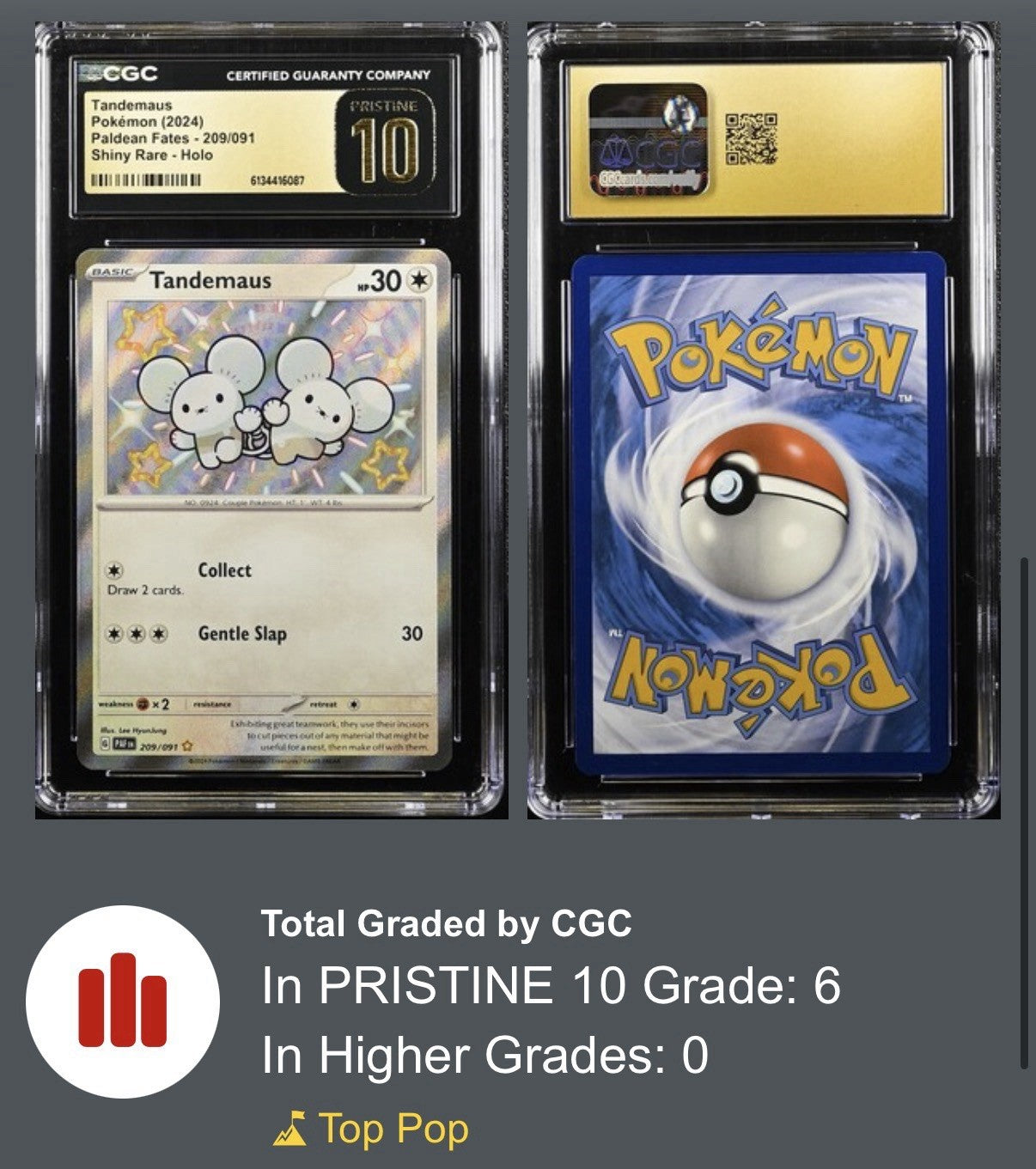💎 Tandemaus #209 Paldean Fates SHINY GRADE 10 PRISTINE GOLD LABEL TOP POP 6!💨