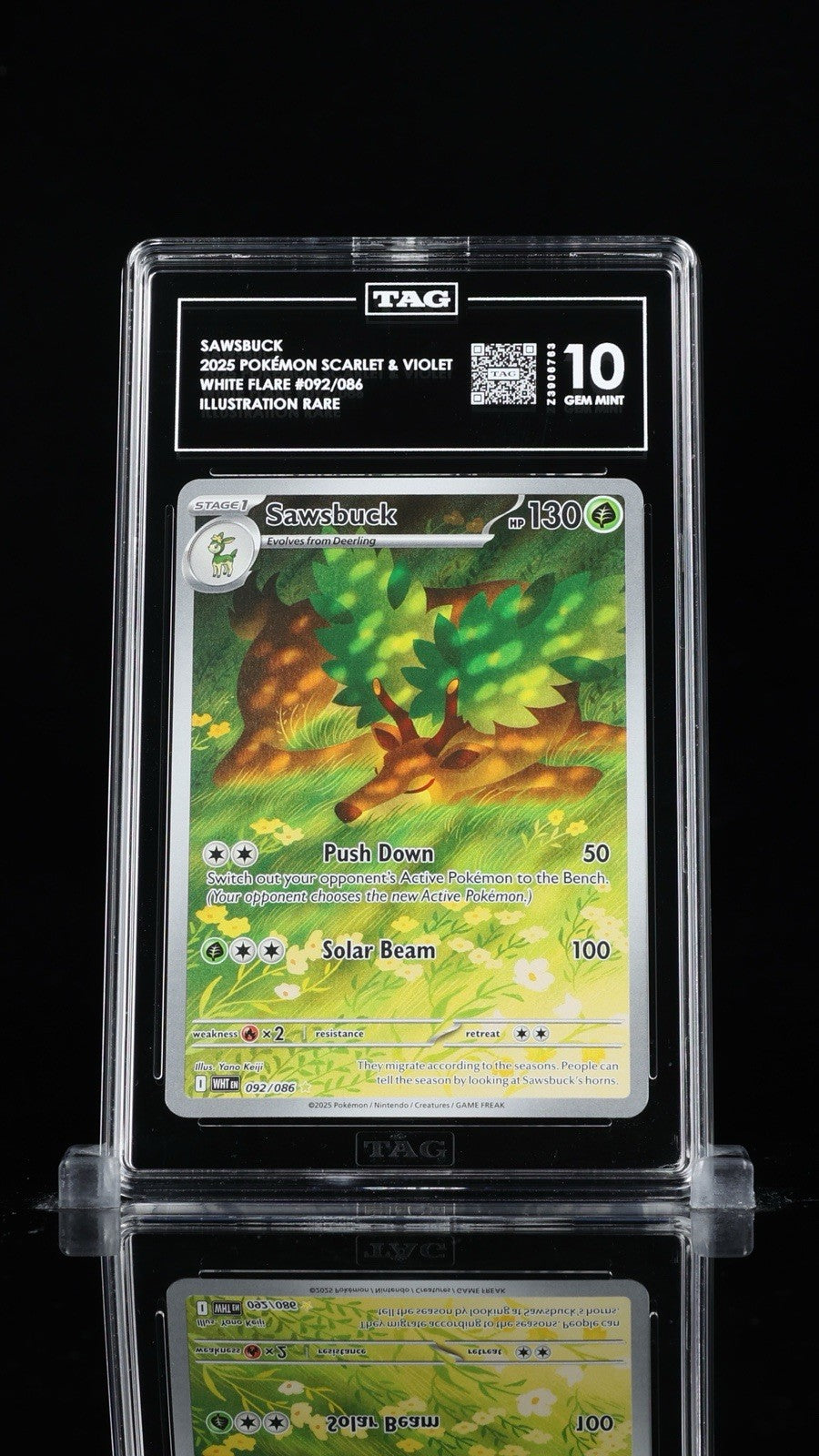 ‼️SAWSBUCK 2025 POKÉMON WHITE FLARE #092 ILLUSTRATION RARE TAG GRADE 10!💨