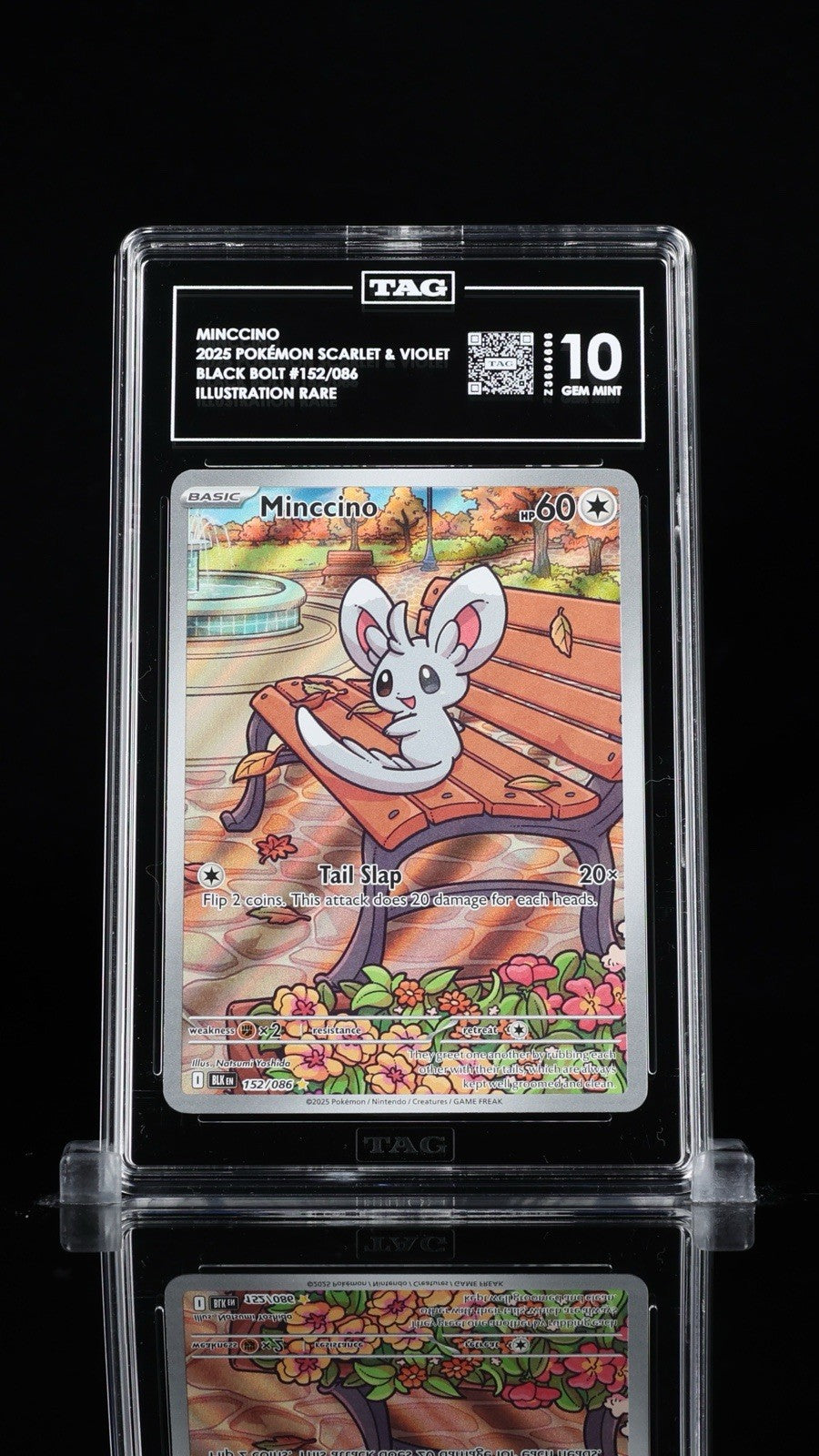 ‼️MINCCINO 2025 POKÉMON SCARLET BLACK BOLT #152 ILLUSTRATION RARE TAG GRADE 10💨