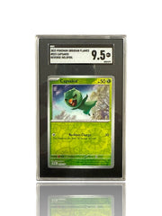 ‼️Pokemon Capsakid 023/197: Obsidian Flames Reverse Holo Grade 9.5! SHOOT OFFER
