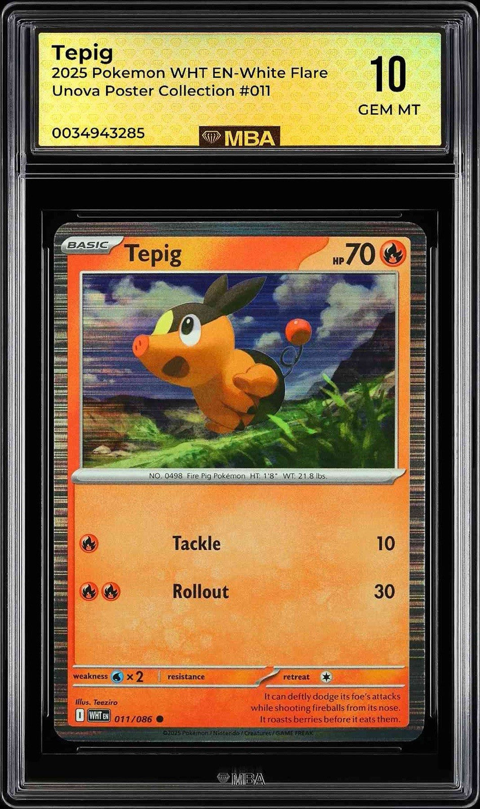 ⚠️ Tepig Pokemon Unova Poster Promo #011~ MBA GRADE 10~POP 1~SHOOT OFFER!💨