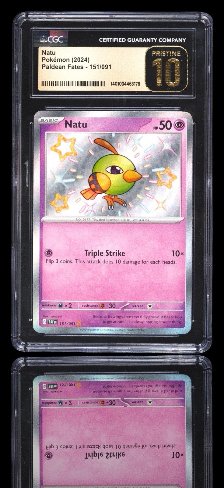 💎 Natu 151/091 Paldean Fates BABY SHINY PRISTINE 10 GOLD LABEL TOP POP!💨