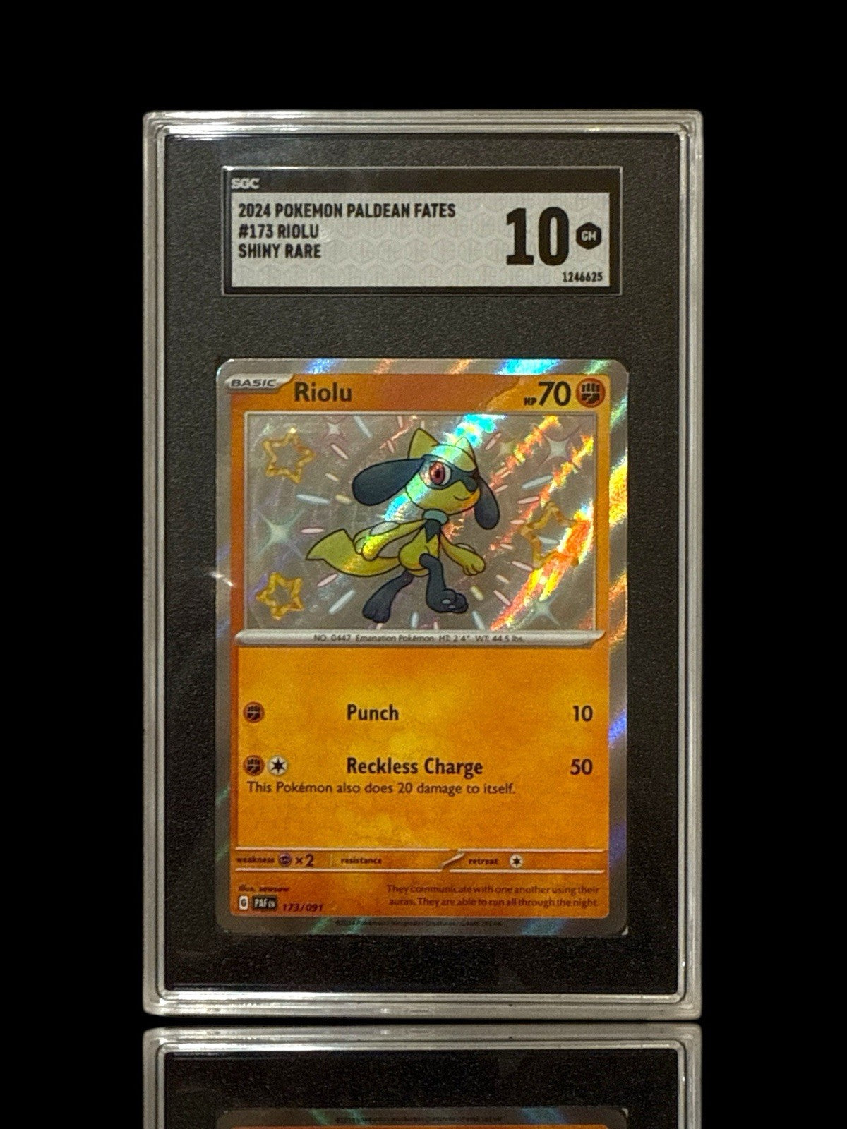 ‼️Riolu 173/091: Paldean Fates BABY SHINY GRADE 10! SHIPS SAME DAY~SHOOT OFFER💨