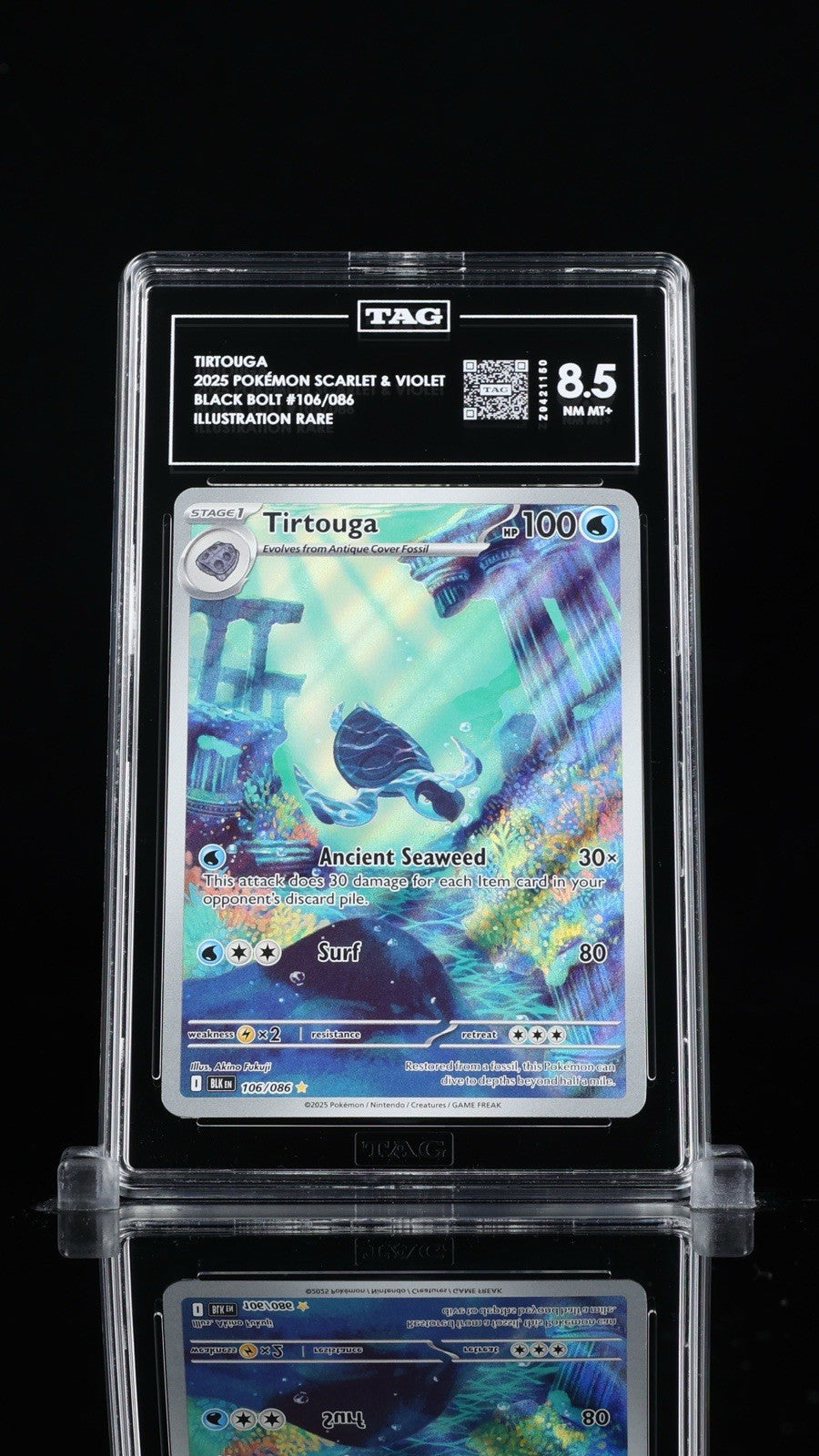 🐢 TIRTOUGA 2025 POKÉMON BLACK BOLT #106 TAG GRADE 8.5! FAST SHIP~SHOOT OFFER!💨