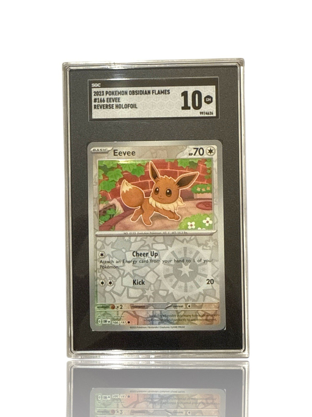 ‼️Pokemon Eevee 166/197: Obsidian Flames Reverse Holo GRADE 10! SHOOT OFFER!💨