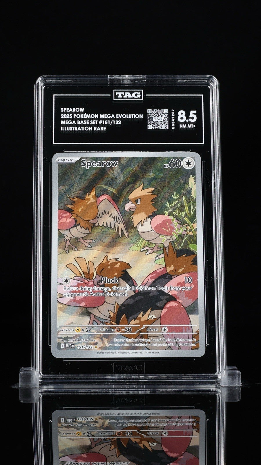 ‼️Spearow 151/132: Mega Evolution TAG GRADE 8.5! SAME DAY SHIP~SHOOT OFFER!💨
