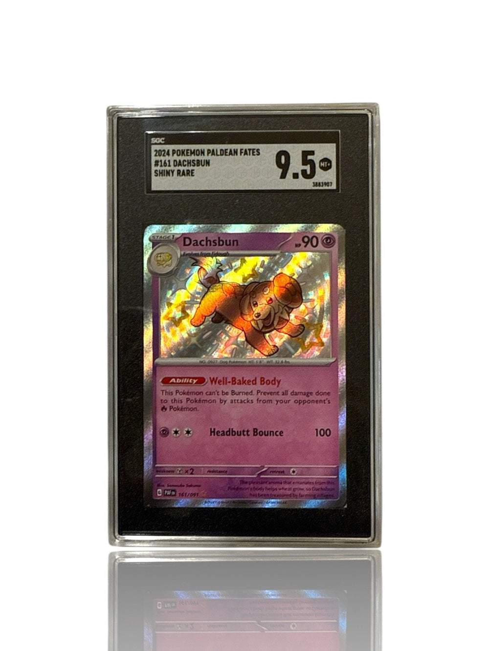 ‼️Pokemon Dachsbun 161/091: Paldean Fates Holo GRADE 9.5! FAST SHIP~SHOOT OFFER
