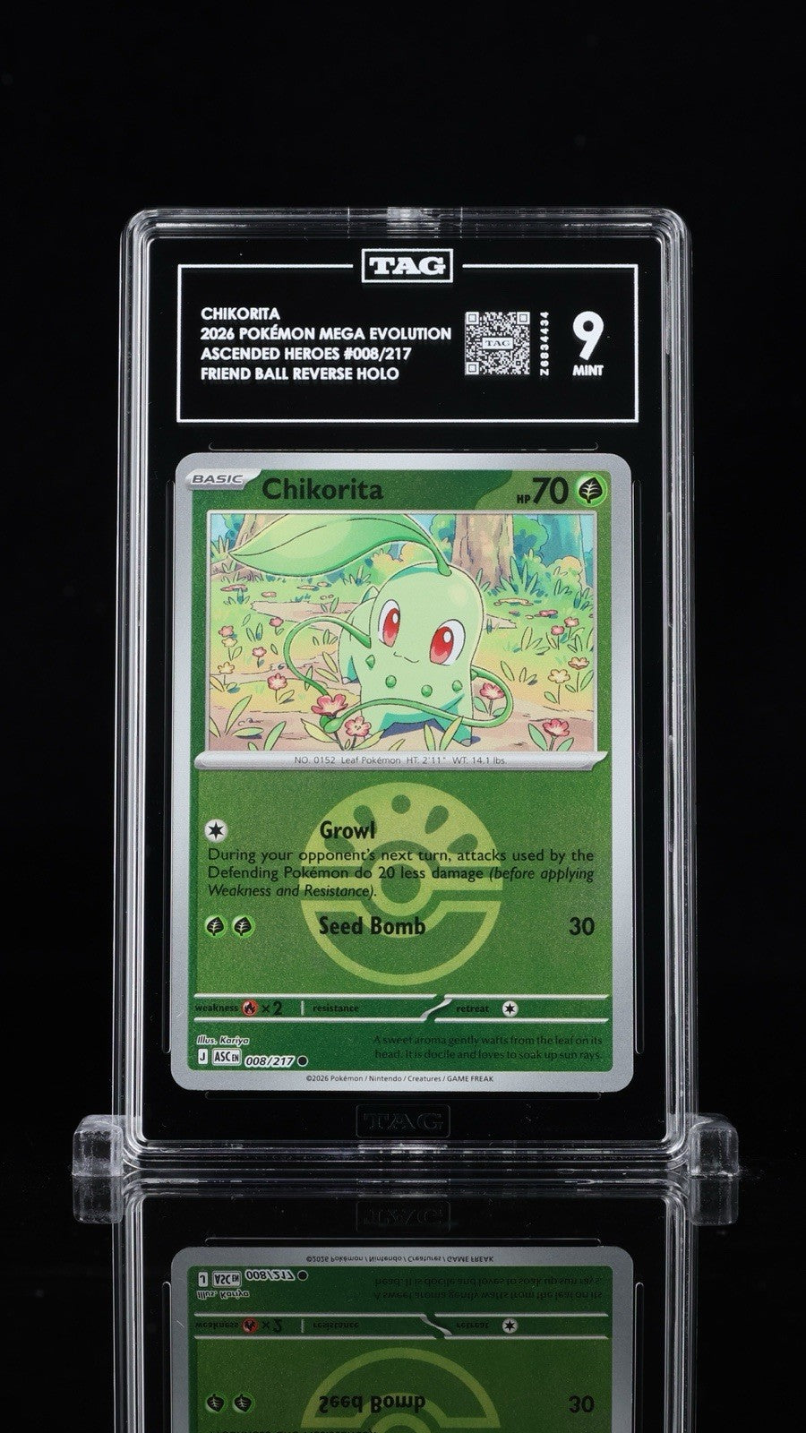 ⚠️Chikorita Friend Ball #008 Ascended Heroes Reverse Holo~TAG 9~SHOOT OFFER!💨
