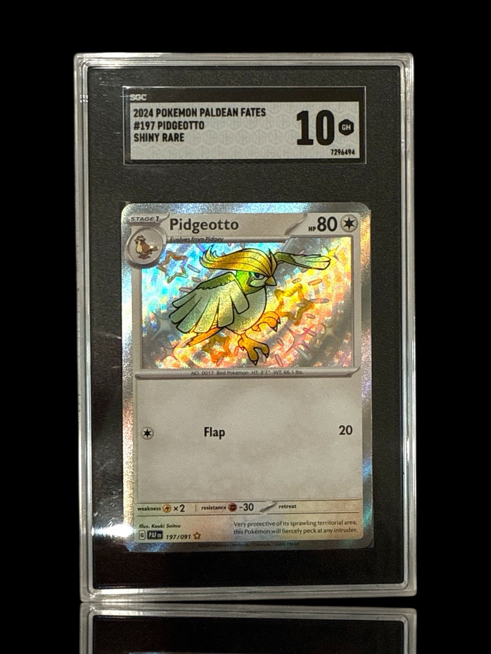 🦅 Pidgeotto 197/091: Paldean Fates BABY SHINY GRADE 10! FAST SHIP~SHOOT OFFER💨