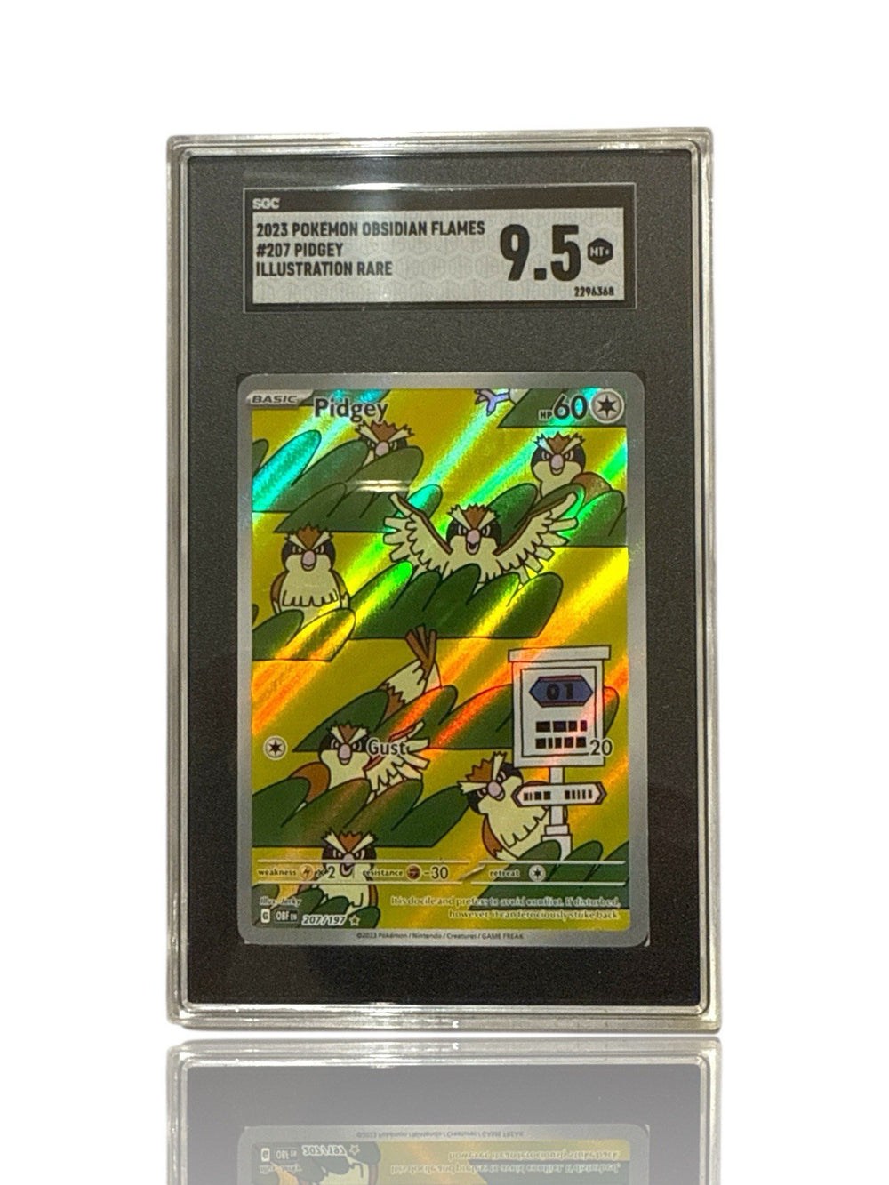 ‼️Pokemon Pidgey 207/197: Obsidian Flames Holo GRADE 9.5! FAST SHIP~SHOOT OFFER!