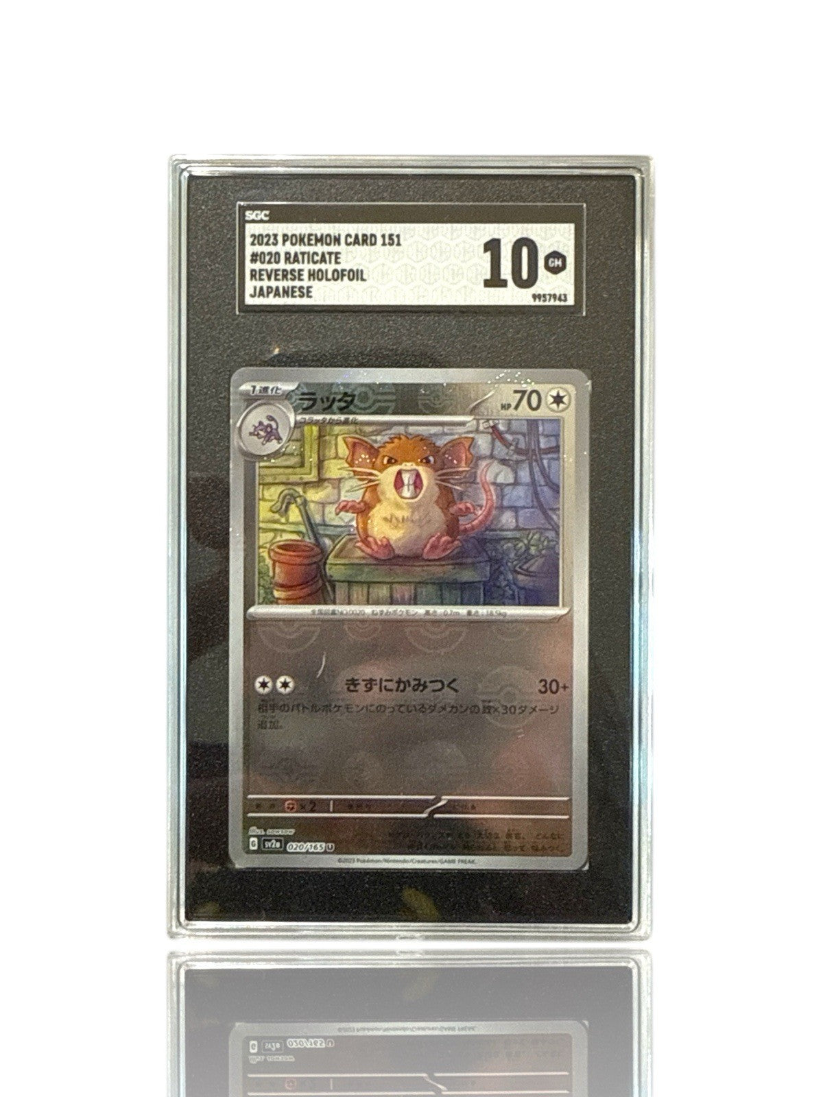 ‼️Raticate PokeBall 020/165: POKEMON 151 Holo Japanese GRADE 10! SHOOT OFFER