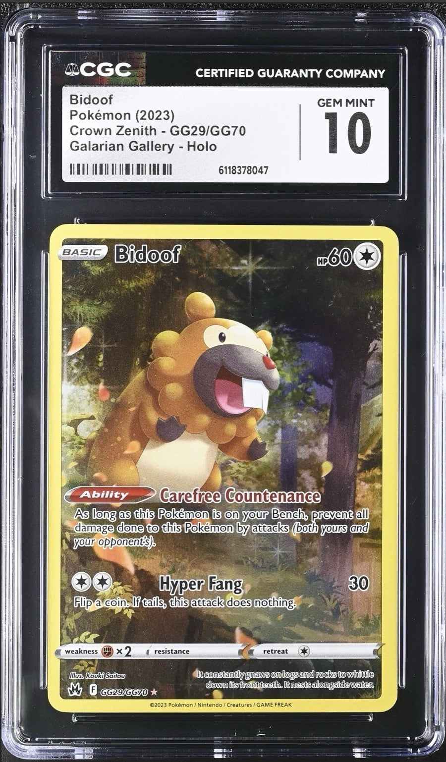🚨Bidoof GG29 Crown Zenith Galarian Gallery Holo GRADE 10! FAST SHIP SHOOT OFFER