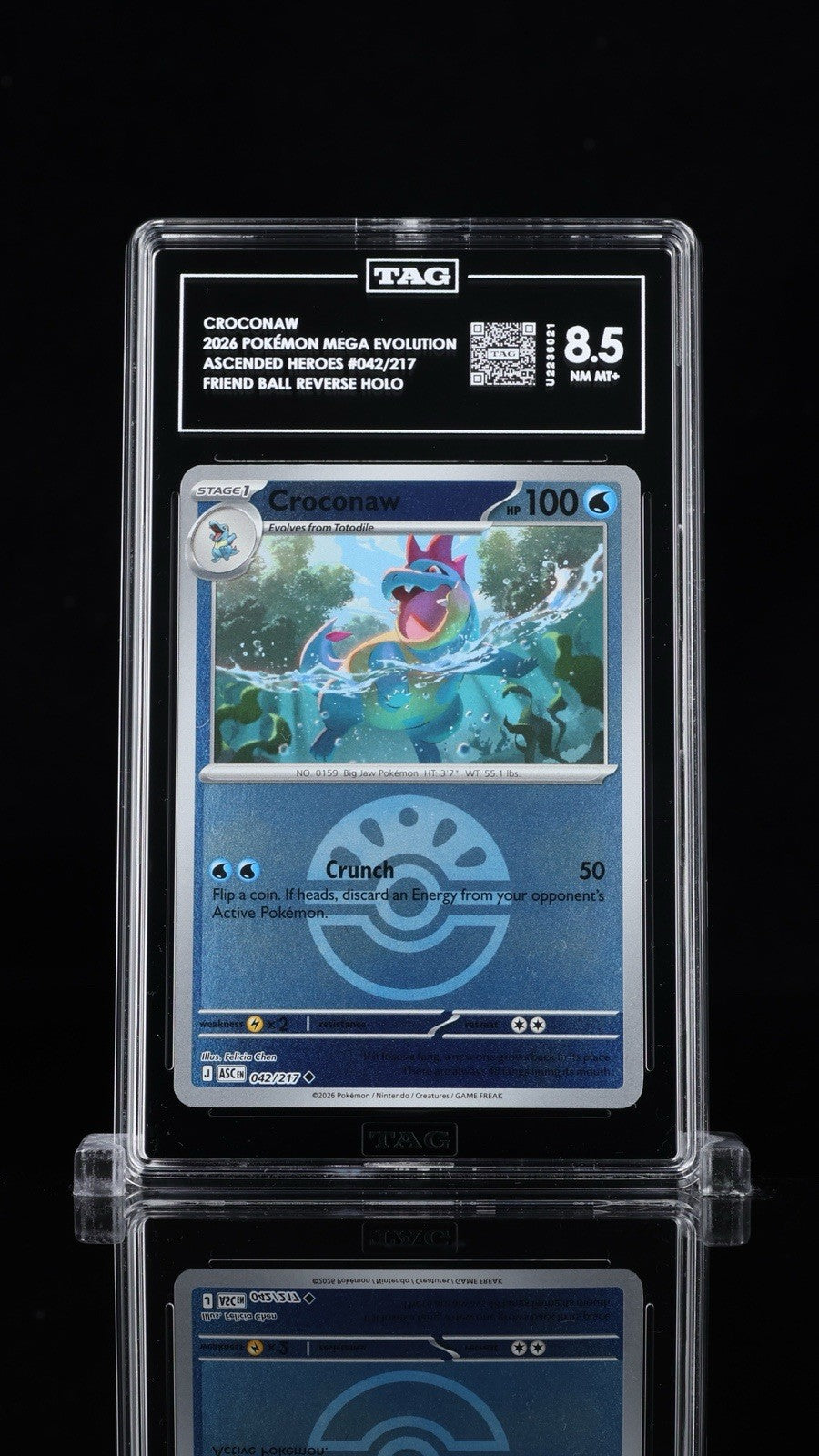 ⚠️ Croconaw Friend Ball Reverse Holo Pokemon Ascended Heroes~TAG 8.5~SHOOT OFFER