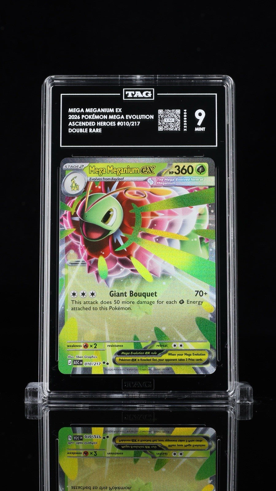 ⚠️ Mega Meganium ex #010 Pokemon Ascended Heroes~TAG GRADE 9~SHOOT OFFER!💨