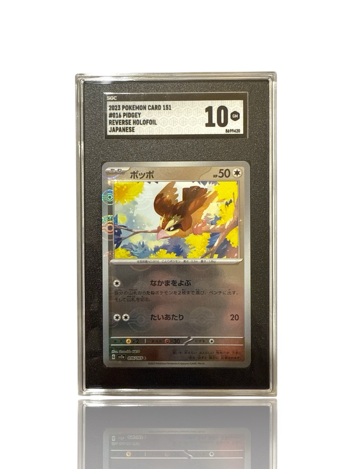 ‼️Pokemon Pidgey PokeBall 016/165: Pokemon Card 151 Holo Japanese GRADE 10!💨