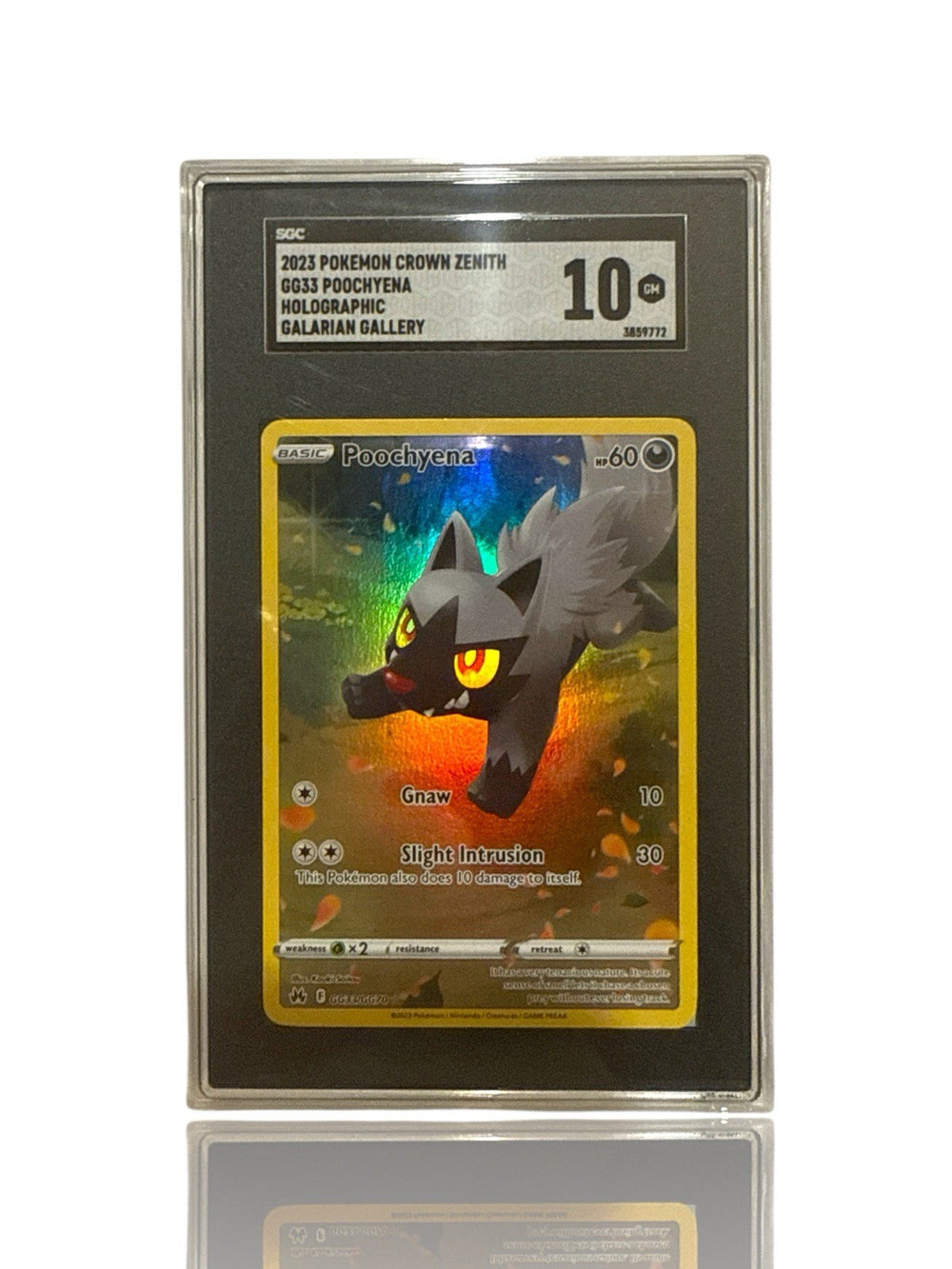 ‼️Poochyena GG33/GG70 Crown Zenith: Galarian Gallery Holo GRADE 10~FAST SHIP💨