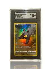 ‼️Poochyena GG33/GG70 Crown Zenith: Galarian Gallery Holo GRADE 10~FAST SHIP💨