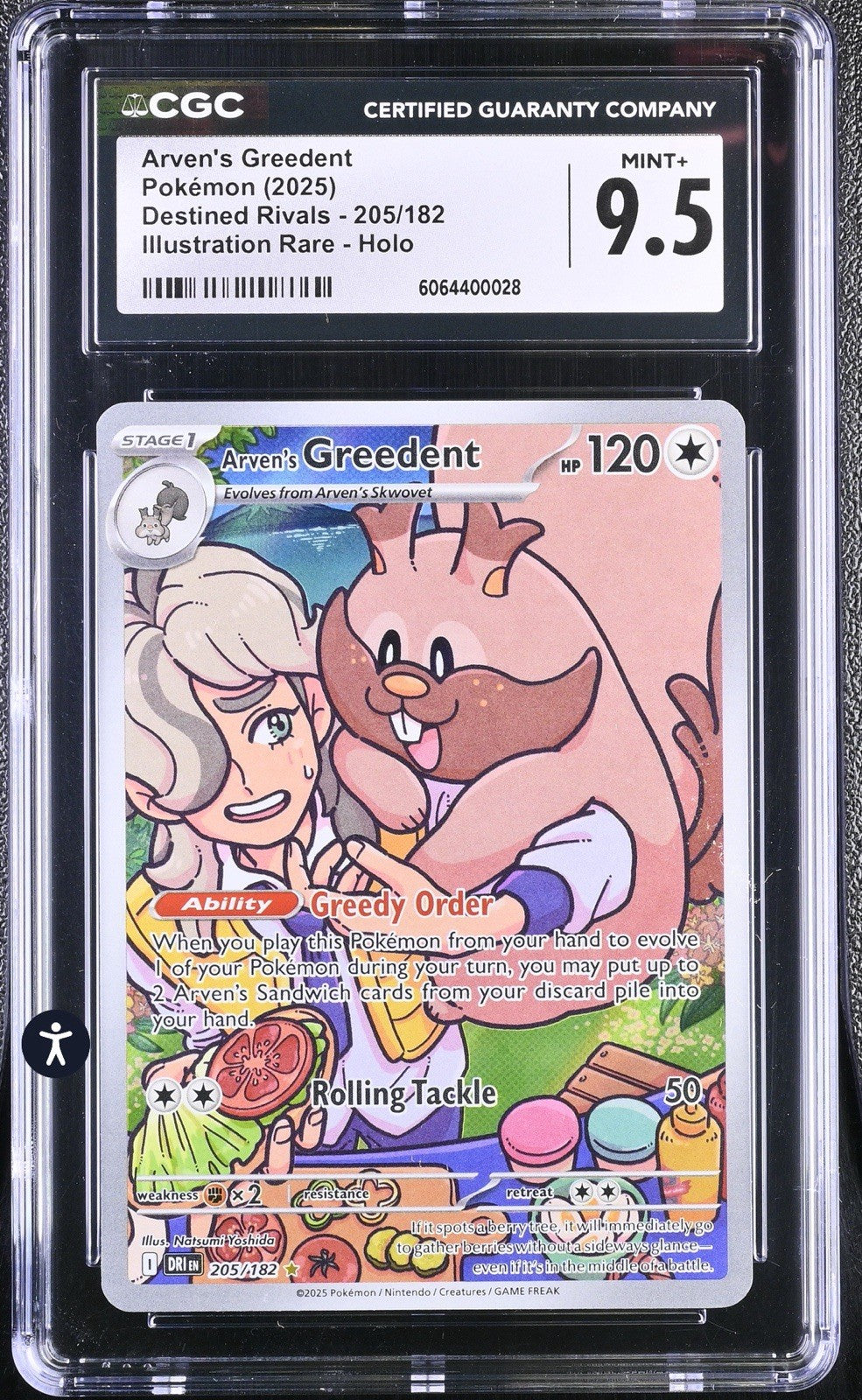‼️Arven's Greedent 205/182 Sv10: Destined Rivals Holo GRADE 9.5! SHIP SAME DAY💨