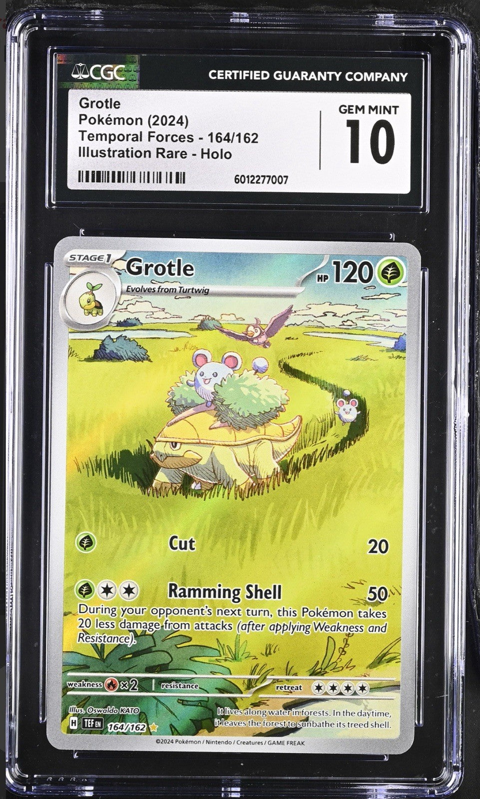 ‼️Grotle 164/162: Temporal Forces Holo GRADE 10! FAST SHIP~ SHOOT OFFER!💨