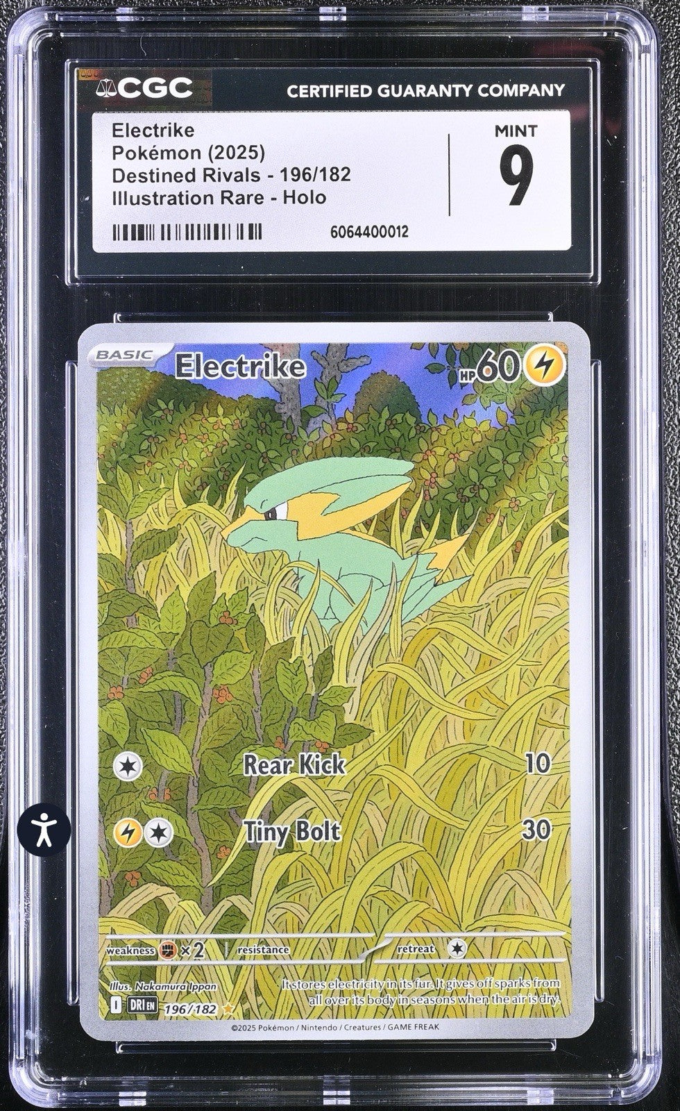 ‼️Pokémon TCG Electrike 196/182 Illustration Rare: Destined Rivals GRADE 9!💨