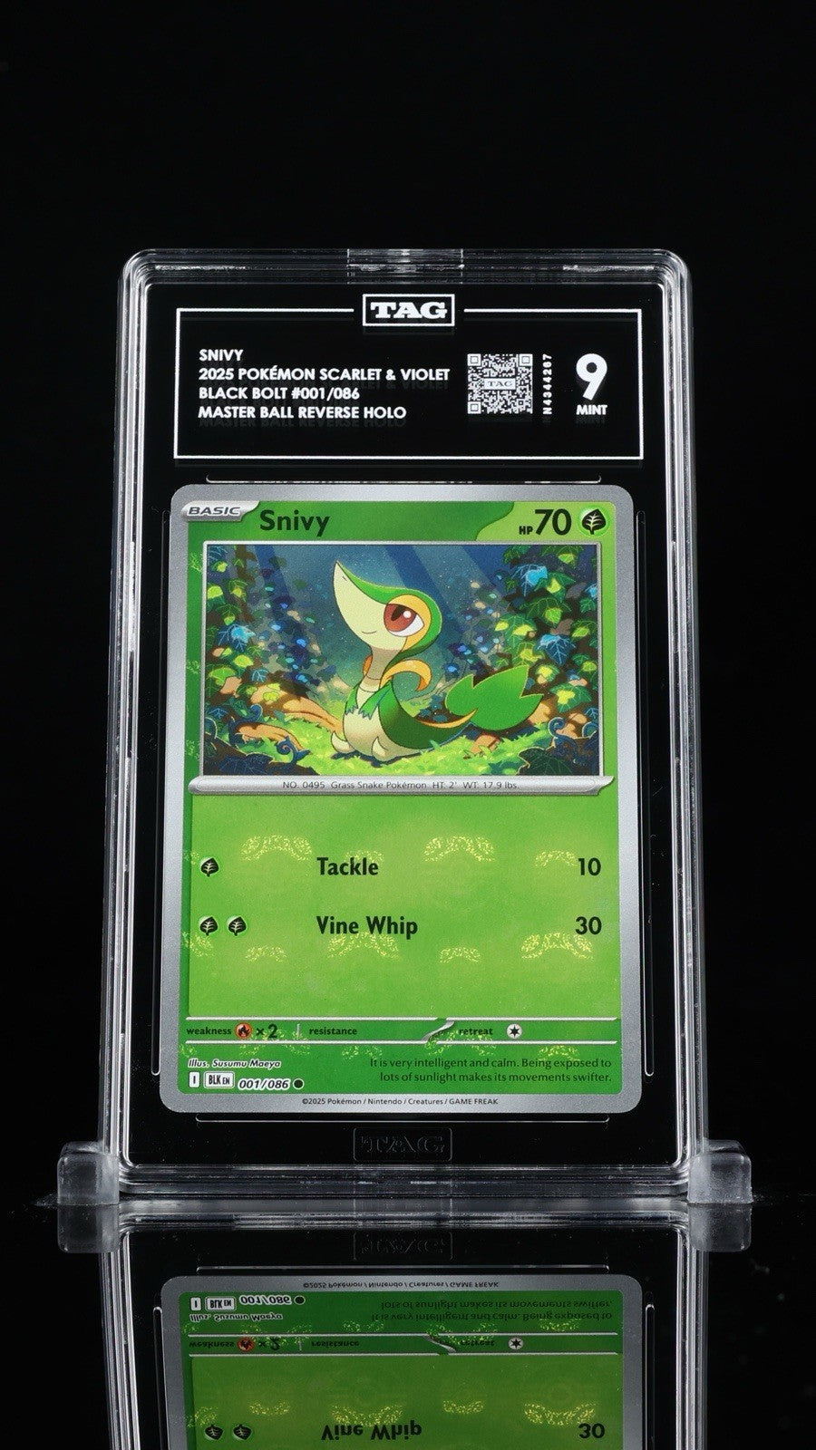 ‼️SNIVY 2025 POKÉMON BLACK BOLT #001~TAG GRADE 9! FAST SHIP~ SHOOT OFFER!💨