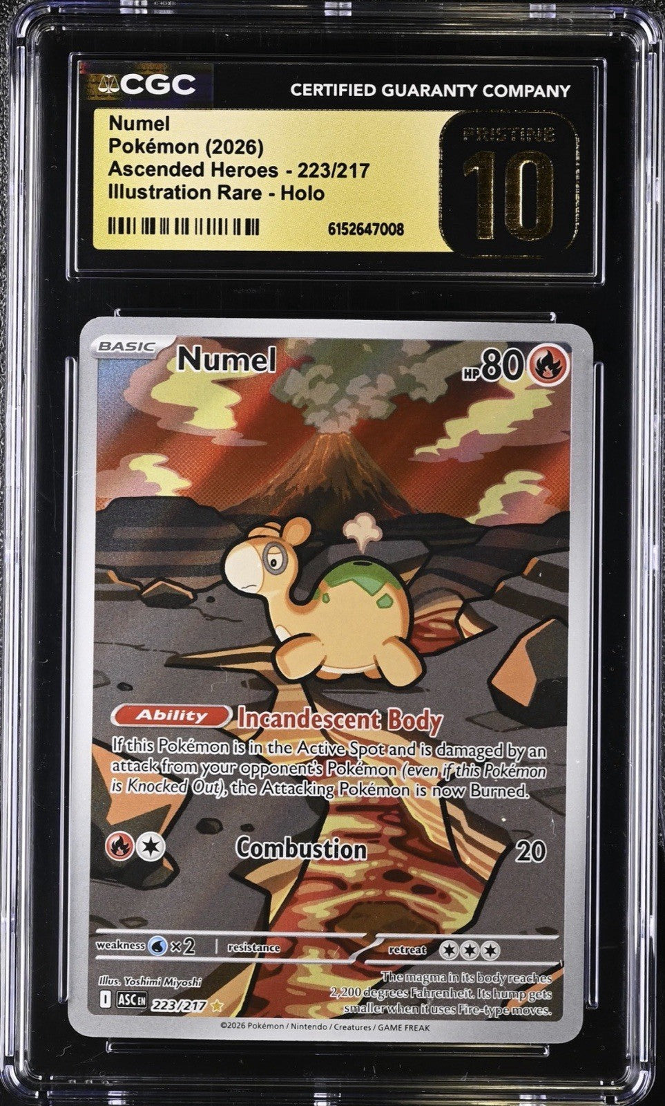 🔥 Numel #223 Ascended Heroes Holo GRADE 10 PRISTINE GOLD LABEL LOW TOP POP!💨