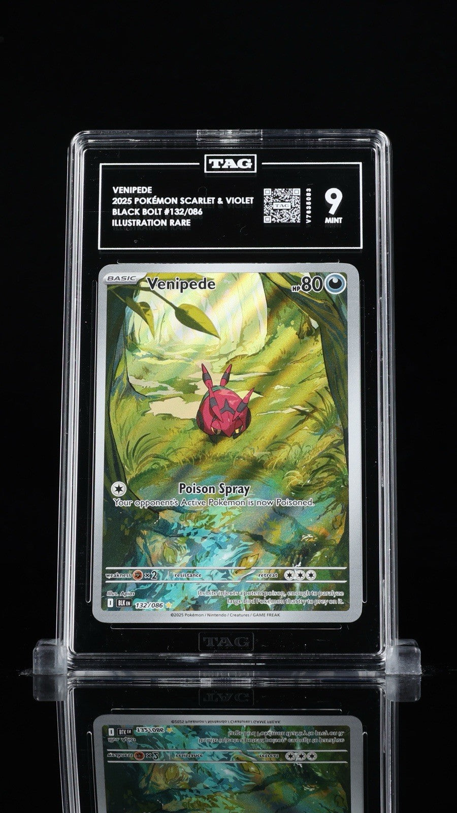 ‼️VENIPEDE 2025 POKÉMON SCARLET & VIOLET BLACK BOLT #132/086 TAG GRADE 9!💨