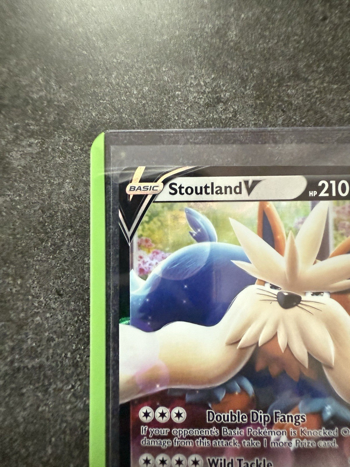 Stoutland V 116/159 Crown Zenith Holo