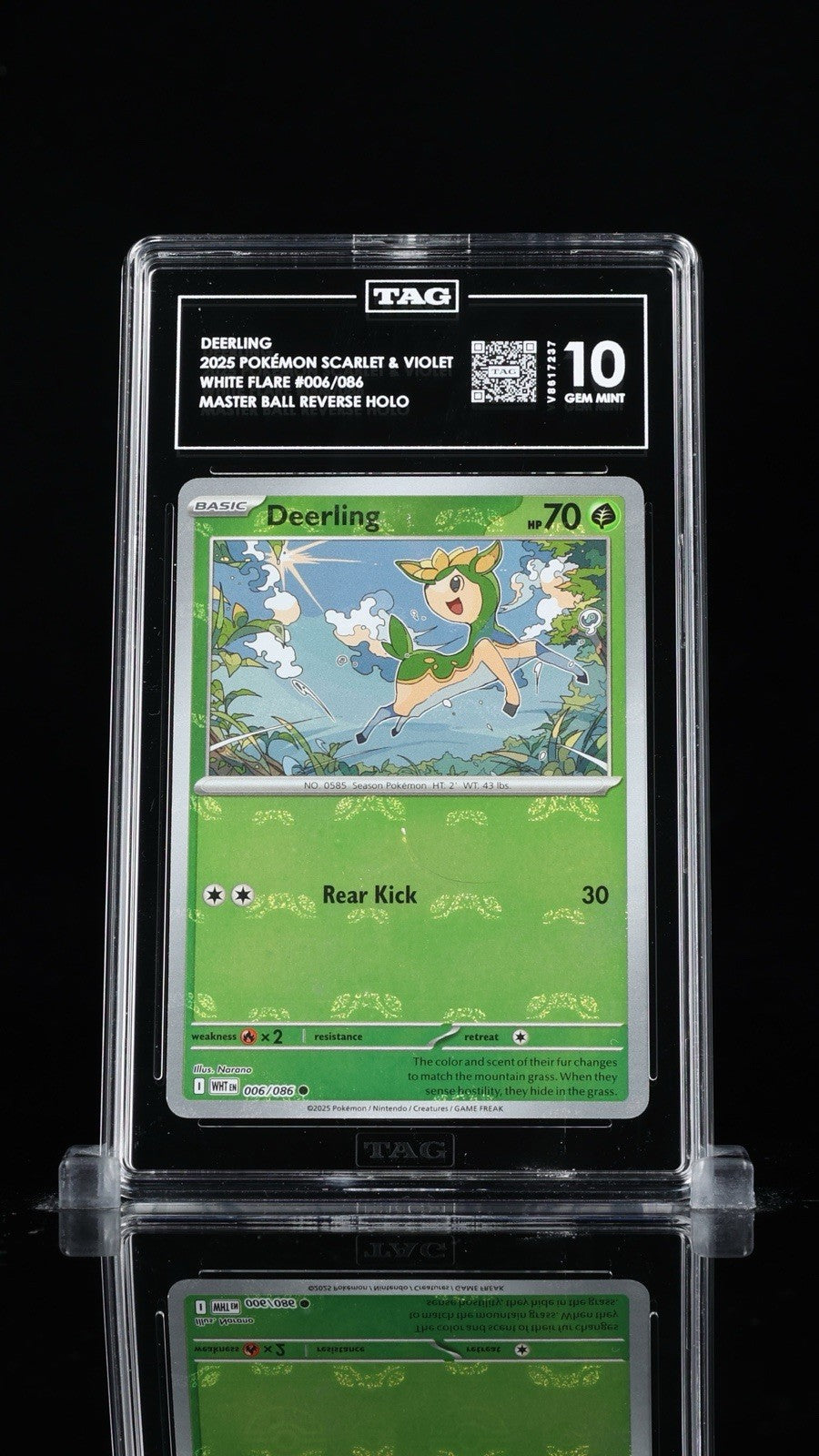 ‼️DEERLING 2025 POKÉMON WHITE FLARE #006~MASTER BALL TAG 10💨 POP 1! FAST SHIP!