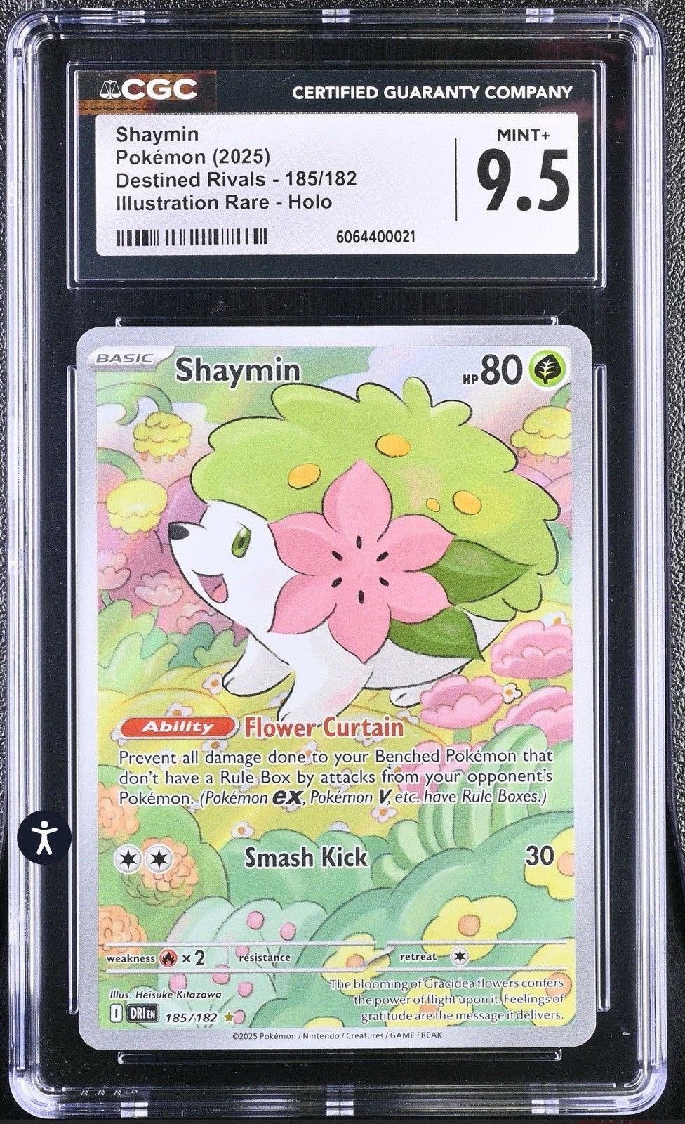 ‼️Shaymin Pokémon (2025) Destined Rivals -185/182 Illustration Rare GRADE 9.5!💨