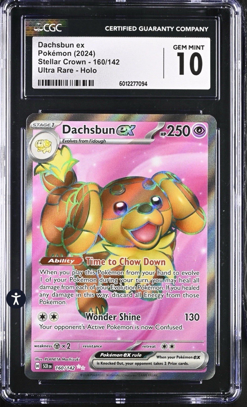 ‼️Dachsbun ex 160/142 Sv07: Stellar Crown Holo GRADE 10! SHIPS SAME DAY!💨