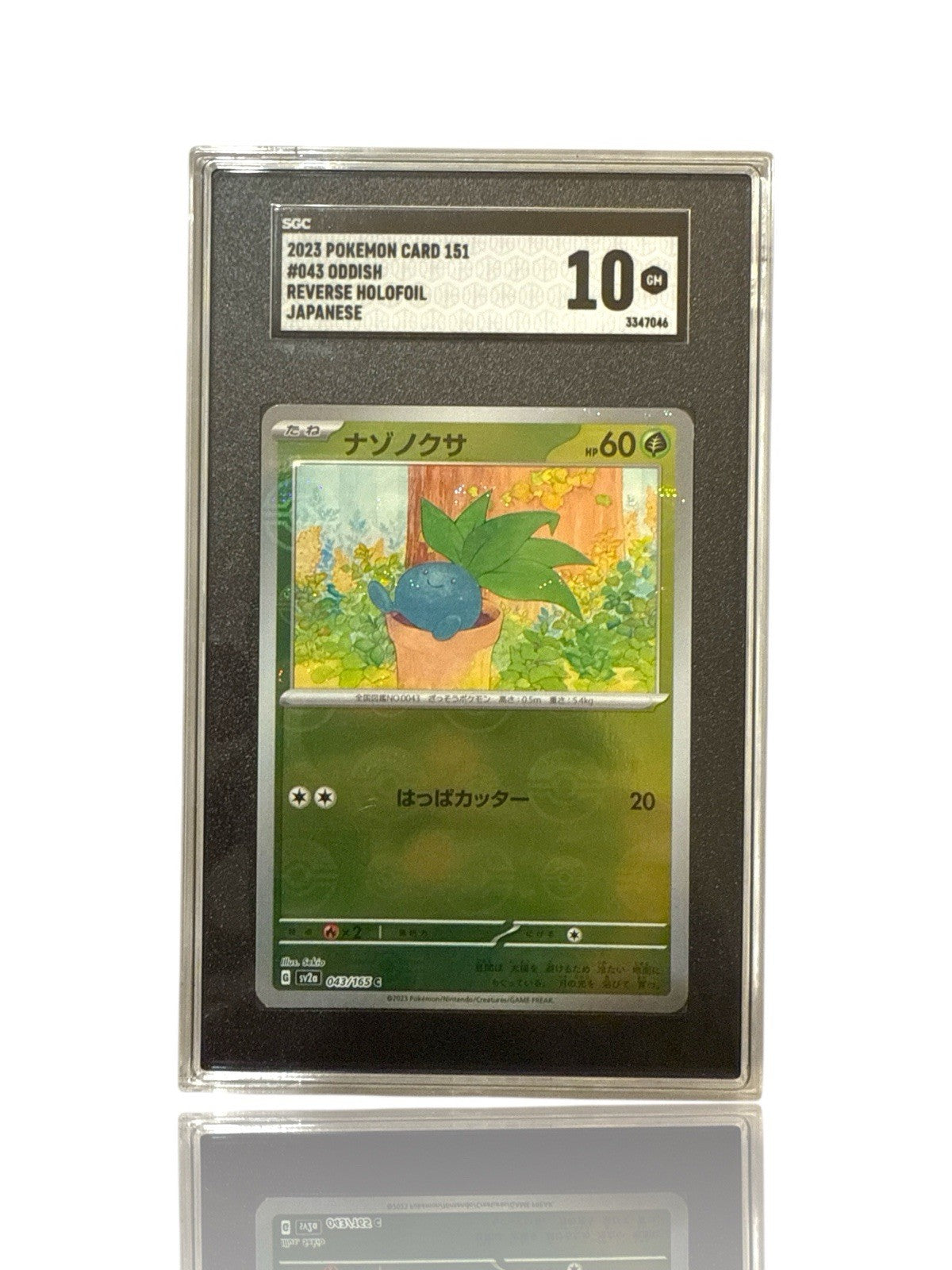 ‼️Oddish PokeBall 043/165: Pokemon Card 151 Holo Japanese GRADE 10~SHOOT OFFER💨