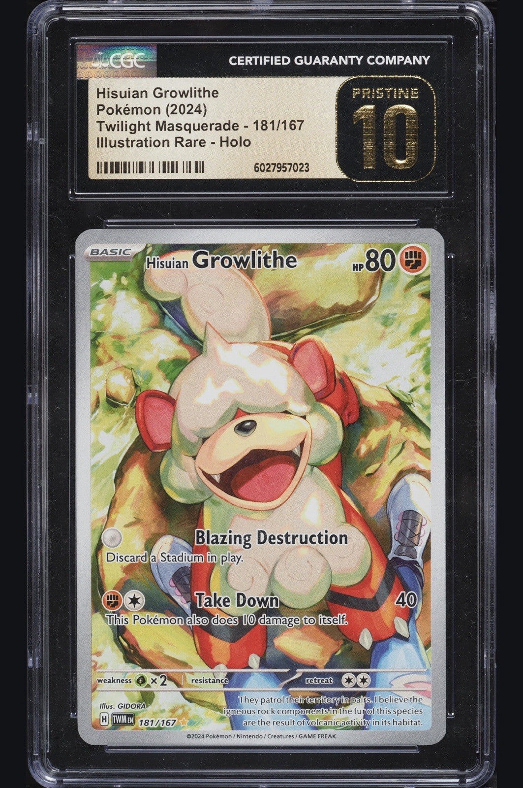 ⚠️ Hisuian Growlithe #181 Twilight Masquerade~PRISTINE 10 GOLD LABEL TOP POP!💨