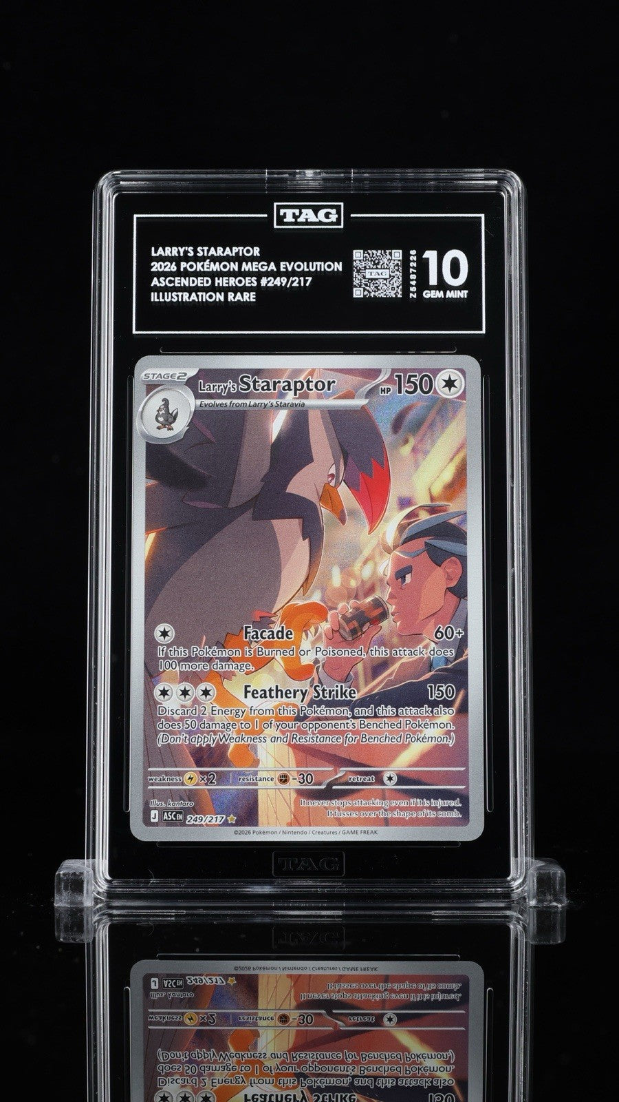 🦅 Larry's Staraptor #170 Ascended Heroes Holo TAG GRADE 10! TOP RANKED!💨