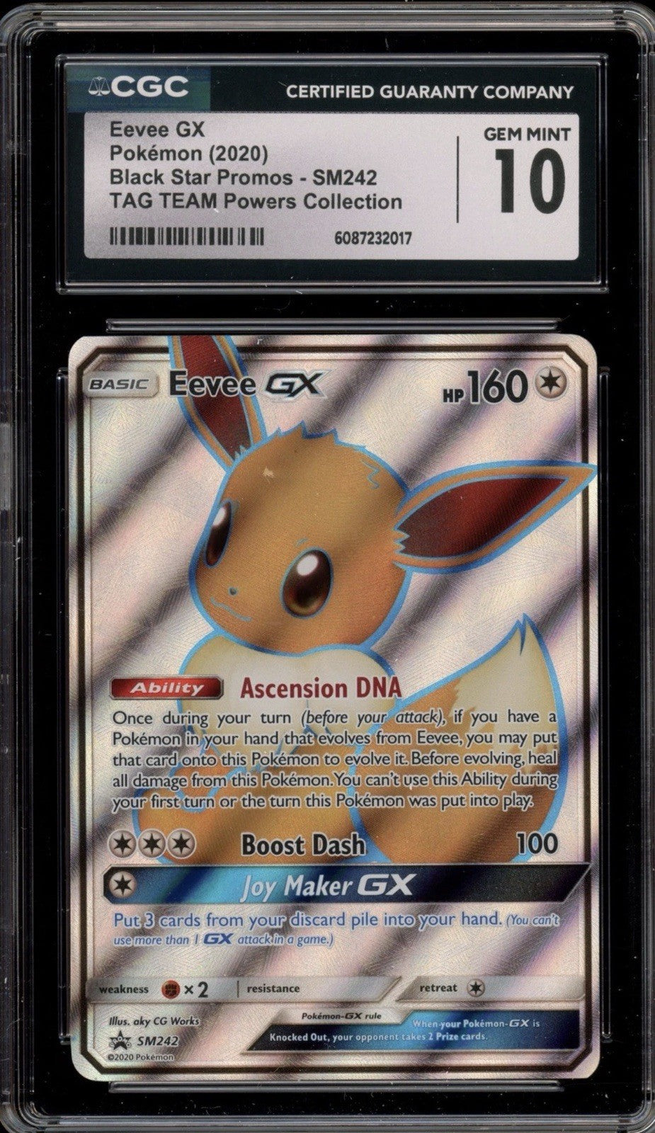 ‼️Pokemon Eevee GX SM242 Sm TAG TEAM Holo GRADE 10~FAST SHIP~SHOOT OFFER!💨