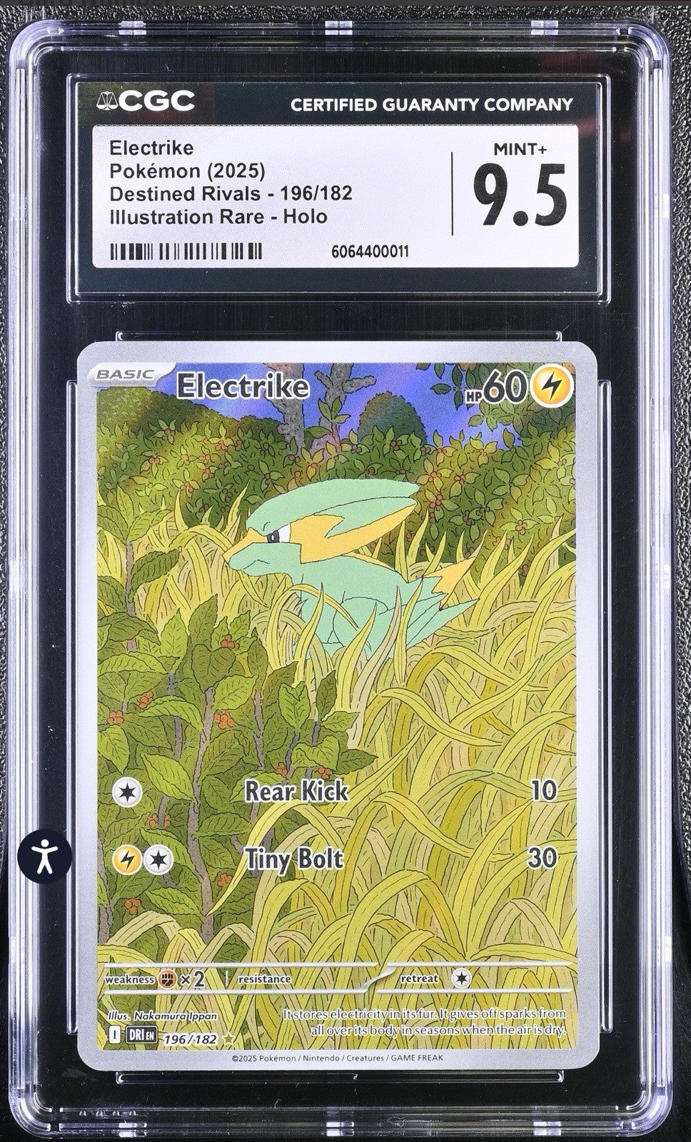 ‼️Pokémon TCG Electrike 196 Illustration Rare Holo Destined Rivals GRADE 9.5!💨