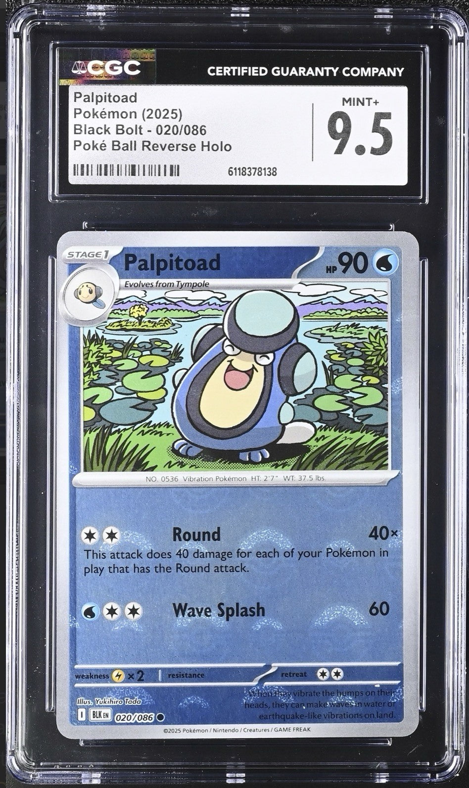 ‼️Palpitoad PokeBall 020 Black Bolt Holo GRADE 9.5! SAME DAY SHIP~SHOOT OFFER!💨